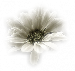 gallery/cristaltubes67