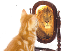 gallery/vezetokepzes_onismereti_trening_modul